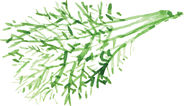 https://pub-static.haozhaopian.net/assets/res/sticker/63062188-b192-4274-a2fe-2f8649b7cf7d_thumb.png