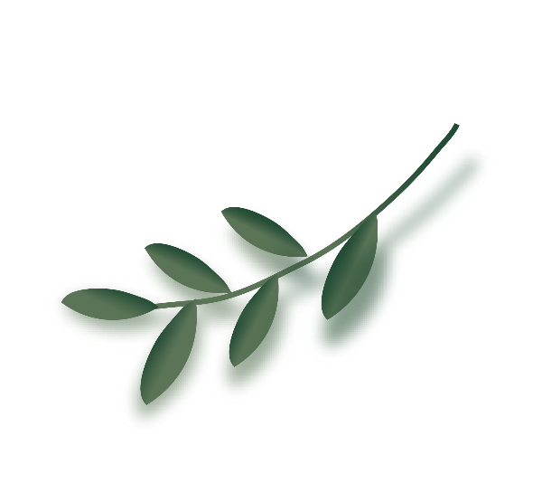 https://pub-static.haozhaopian.net/assets/res/sticker/6675f027-2209-43f8-9335-e1476e3ac372_thumb.png
