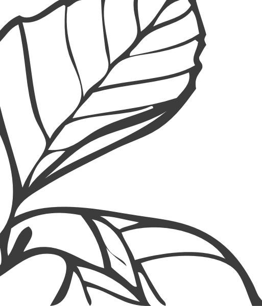 https://pub-static.haozhaopian.net/assets/res/sticker/67a8b8b7-b426-4059-811e-7f6a674bf70a_thumb.png