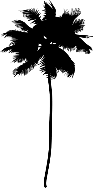 https://pub-static.haozhaopian.net/assets/res/sticker/6b437b14-f349-496b-8dbe-8b9a9e707998_thumb.png