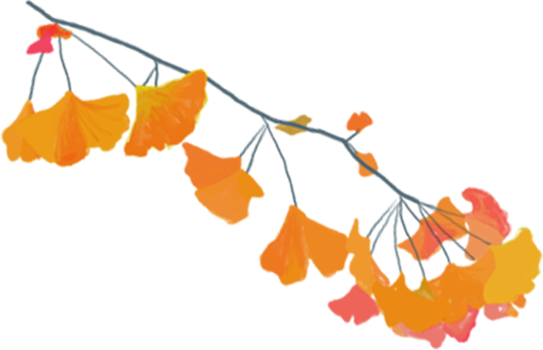 https://pub-static.haozhaopian.net/assets/res/sticker/6e1ac598-0a5d-4c6b-8ba5-79a035e1cb83_thumb.png
