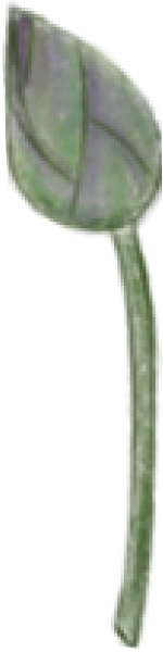 https://pub-static.haozhaopian.net/assets/res/sticker/6f23de02-f761-4a91-93da-c3893438dfc0_thumb.png