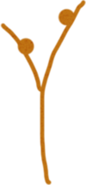 https://pub-static.haozhaopian.net/assets/res/sticker/6fd94dad-326e-4126-bca6-cb3476a16040_thumb.png