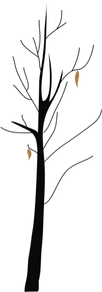 https://pub-static.haozhaopian.net/assets/res/sticker/70b3f3f9-57ae-4c6a-b998-2dbe5c539103_thumb.png