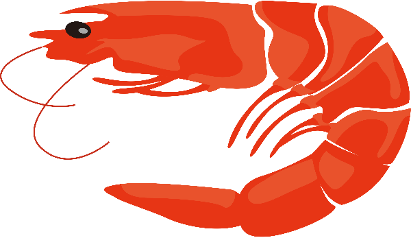 https://pub-static.haozhaopian.net/assets/res/sticker/71cc4e5c-485c-400f-abda-c3308c5ed39e_thumb.png