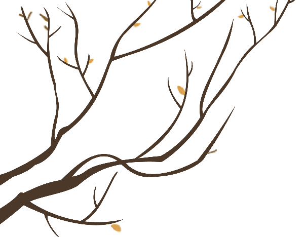 https://pub-static.haozhaopian.net/assets/res/sticker/7c575599-a53d-4693-930b-35ceaeda021a_thumb.png