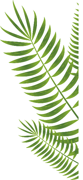 https://pub-static.haozhaopian.net/assets/res/sticker/7f9f0be3-f05c-4378-b2ab-bf1d95675931_thumb.png
