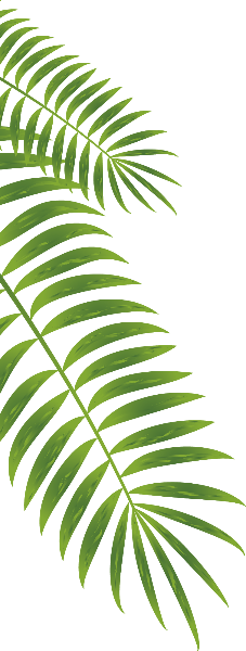 https://pub-static.haozhaopian.net/assets/res/sticker/7ff58e3e-36b9-475a-9d24-c331bfa92f15_thumb.png