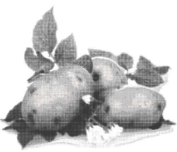 https://pub-static.haozhaopian.net/assets/stickers/0454588d-1c38-4b1f-bc28-0ea049a92799_thumb.png