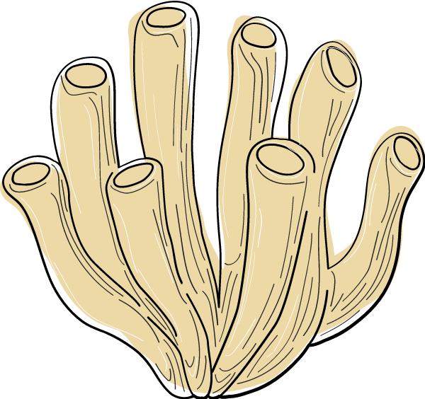 https://pub-static.haozhaopian.net/assets/stickers/966d4fe5-1c63-449a-a288-85bf772323cc_thumb.png