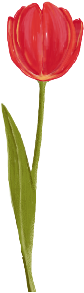 https://pub-static.haozhaopian.net/assets/stickers/ffaab441-f835-4951-ade5-a0b8c21a0598_thumb.png