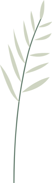 https://pub-static.haozhaopian.net/assets/stickers/4757e2e5-d209-4926-adeb-3b966c876251_thumb.png