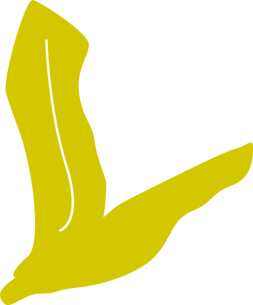 https://pub-static.haozhaopian.net/assets/stickers/e2283a04-2573-4773-b4c3-c43bab1ad66b_thumb.png