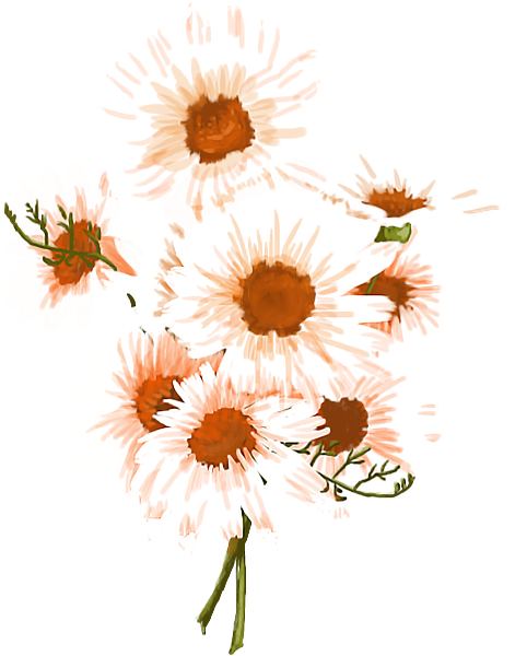 https://pub-static.haozhaopian.net/assets/stickers/45f7bc38-de9a-41fc-98a0-8eeda03e2ec4_thumb.png
