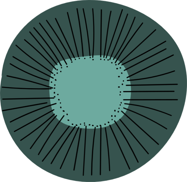 https://pub-static.haozhaopian.net/assets/stickers/43955197-99ff-4fd8-b785-2b7d56ed9831_thumb.svg