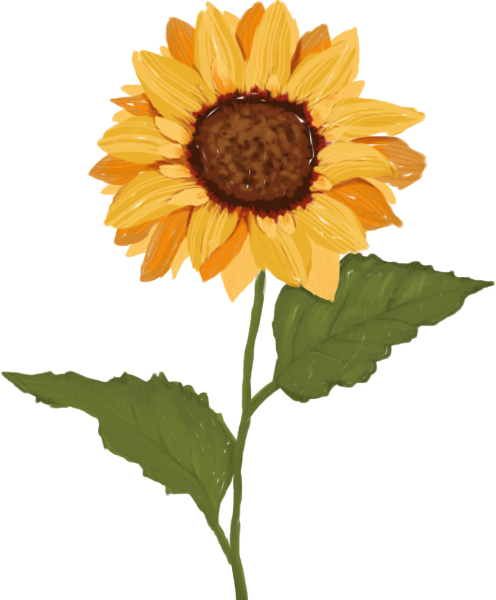 https://pub-static.haozhaopian.net/assets/stickers/06131630-7054-4c26-98bd-1919d669450c_thumb.png