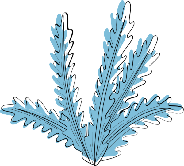 https://pub-static.haozhaopian.net/assets/stickers/f50be886-936b-47fe-835a-c4041d025401_thumb.png