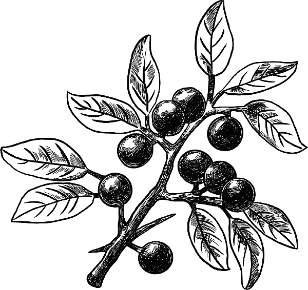 https://pub-static.haozhaopian.net/assets/stickers/d06fc0be-55a8-40e1-a69c-cbd516898c0f_thumb.png