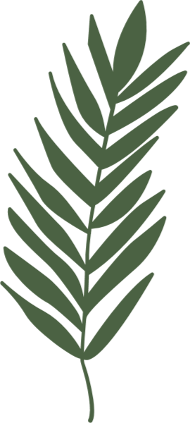 https://pub-static.haozhaopian.net/assets/stickers/0513760c-3dd9-45cd-8fd9-9d05bbdfdd9f_thumb.png