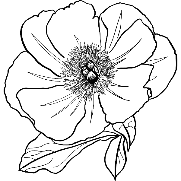 https://pub-static.haozhaopian.net/assets/stickers/3304683c-18a2-463a-bb09-27167e4ceb3b_thumb.png