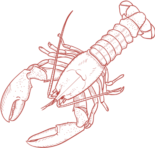 Free Online Lobsters Animals Crayfish Seafood Vector For ...