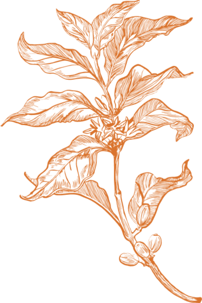 https://pub-static.haozhaopian.net/assets/stickers/af321f3b-b507-4cc4-a986-a0f55133877b_thumb.png