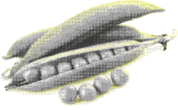 https://pub-static.haozhaopian.net/assets/stickers/bed79c13-fa19-4a1d-9c65-2e2071693556_thumb.png