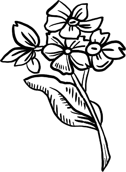 https://pub-static.haozhaopian.net/assets/stickers/0aa03351-74b7-4993-91fb-92b159fdd37e_thumb.png
