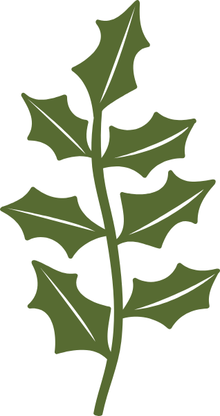 https://pub-static.haozhaopian.net/assets/stickers/5700/9f1f726c-f9e7-49e0-8387-5970ea686302_thumb.png