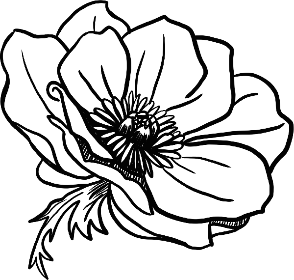 https://pub-static.haozhaopian.net/assets/stickers/04ef3e09-4cff-4bd0-8cc3-4e16b9bc8a76_thumb.png