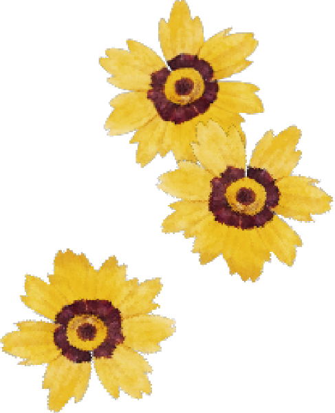 https://pub-static.haozhaopian.net/assets/stickers/8a243578-53da-49d3-bf85-bedbfb7372be_thumb.png