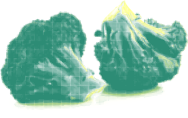 https://pub-static.haozhaopian.net/assets/stickers/ca42f7de-8007-44b5-923f-8efb0e7b1a7e_thumb.png