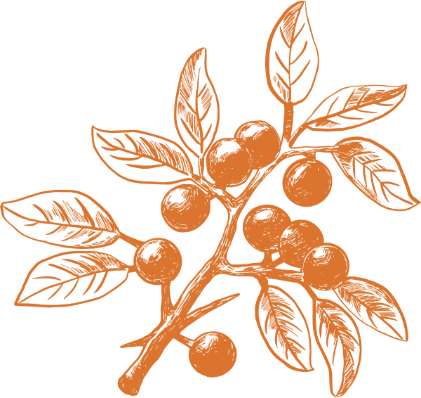 https://pub-static.haozhaopian.net/assets/stickers/0e6c89e0-3d0e-4605-a161-a5587e6d8286_thumb.png