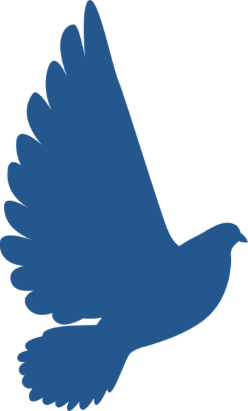 https://pub-static.haozhaopian.net/assets/stickers/ac1f41f6-fee3-4248-a269-fc00814d87a5_thumb.png