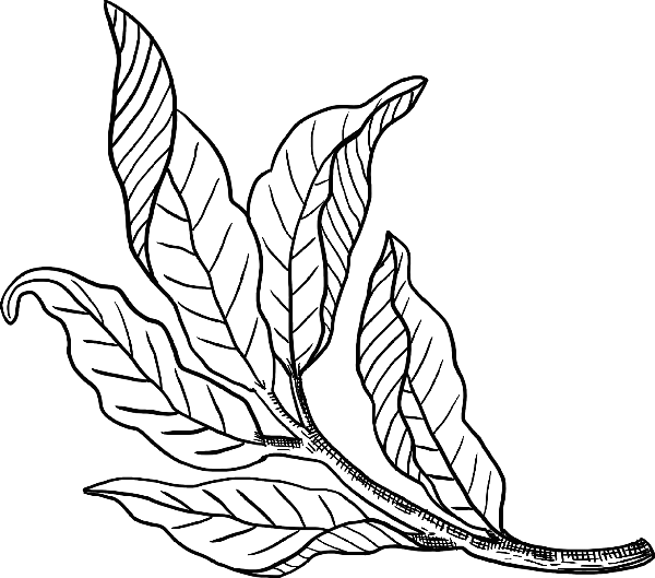 https://pub-static.haozhaopian.net/assets/stickers/646753e9-2071-489a-9dac-35fa06d49998_thumb.png