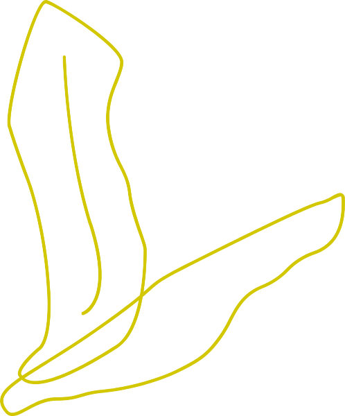 https://pub-static.haozhaopian.net/assets/stickers/07a0d94c-9ba0-44b0-88ad-1a5394119a87_thumb.png