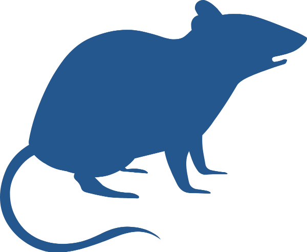 https://pub-static.haozhaopian.net/assets/stickers/9f362024-6f94-4a6c-99c1-b728019f8e7f_thumb.png