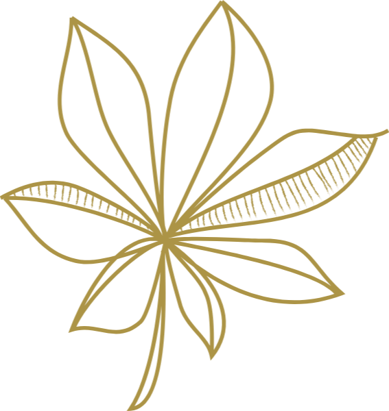 https://pub-static.haozhaopian.net/assets/stickers/Autumn_cl_20170118_08/6f701cf1-04aa-4efe-8274-e2b47a8b759e_thumb.png