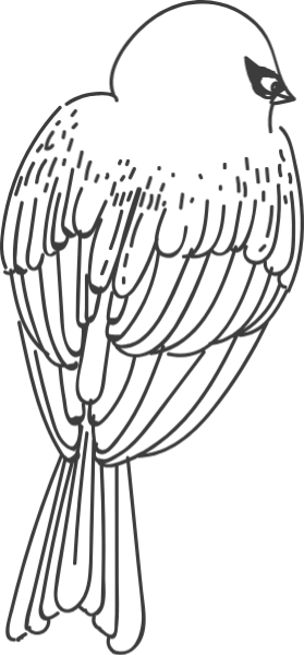 https://pub-static.haozhaopian.net/assets/stickers/BIRDY_cl_20170114_04/29167dbe-5e9a-4c4f-a18b-549336598003_thumb.png