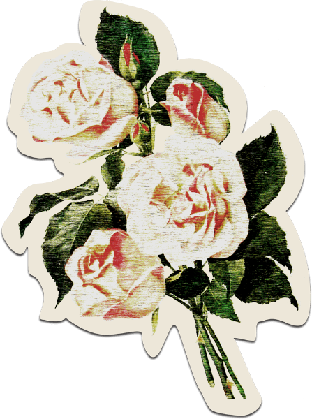 https://pub-static.haozhaopian.net/assets/res/sticker/47e354c3-377b-42c4-8081-3f05f1aec035_thumb.png