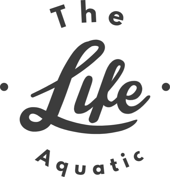 https://pub-static.haozhaopian.net/assets/stickers/Party_decals_cl_0170113_01/c6eaa933-9536-4e17-8345-1f3e36c697cb_thumb.png