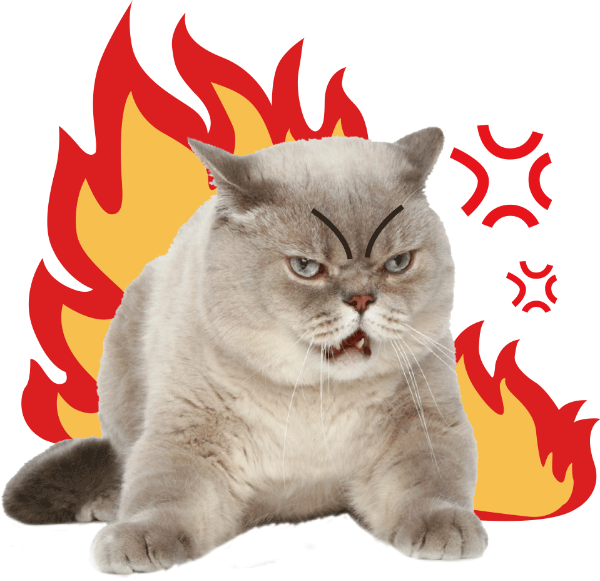 https://pub-static.haozhaopian.net/assets/res/sticker/3d08d9ae-5794-477a-b88b-6d7e0dd7162b_thumb.png