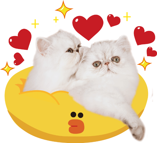 https://pub-static.haozhaopian.net/assets/res/sticker/a5a78cc6-33e0-40ea-b311-2bcf674f9eb7_thumb.png