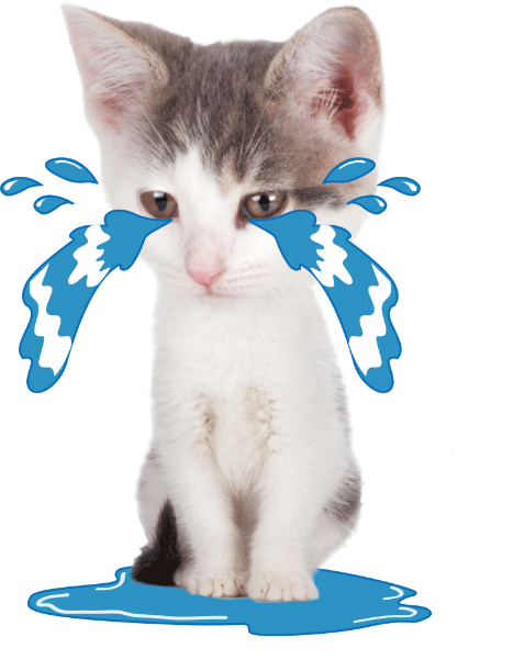 https://pub-static.haozhaopian.net/assets/res/sticker/e2c254d7-198a-4119-bfca-d8788bcb2579_thumb.png