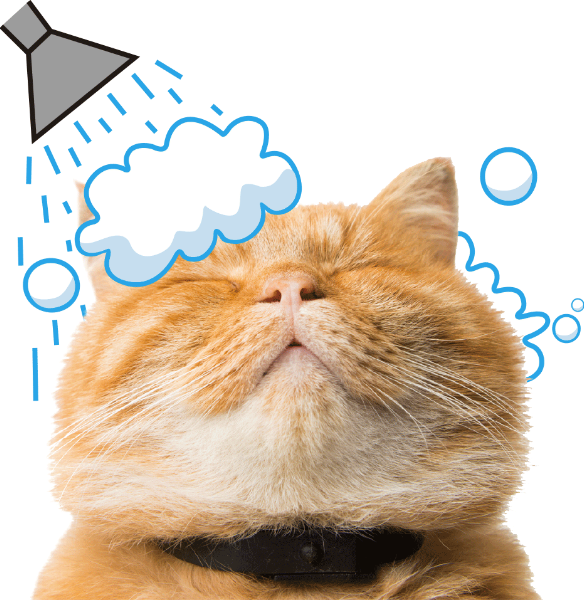 https://pub-static.haozhaopian.net/assets/res/sticker/9ac4c26b-0272-404e-8e91-047a5aa21669_thumb.png
