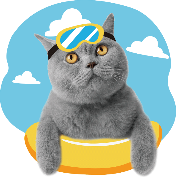 https://pub-static.haozhaopian.net/assets/res/sticker/b12fd2f5-795a-48be-84dd-107945bd451a_thumb.png