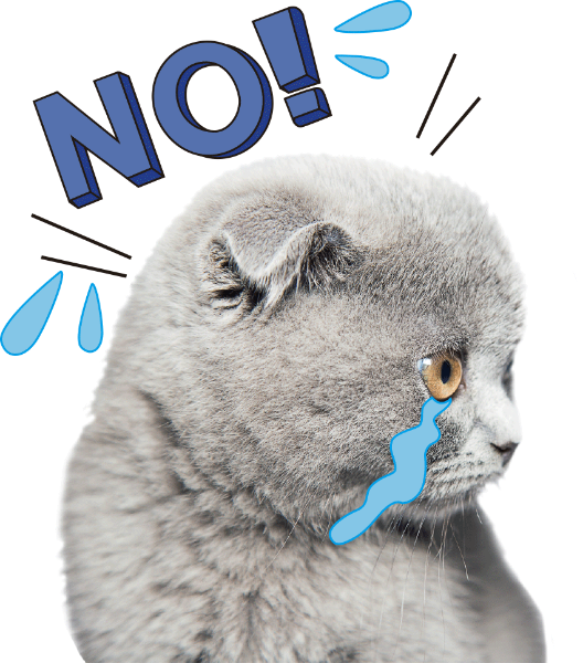 https://pub-static.haozhaopian.net/assets/res/sticker/1c80df48-b815-46da-bf96-e8dd0ffa23e2_thumb.png