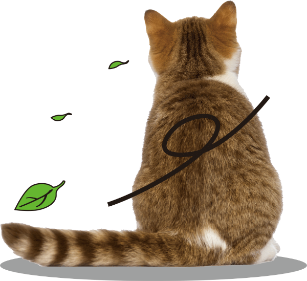 https://pub-static.haozhaopian.net/assets/res/sticker/79f0cf33-bfa8-4121-bd0b-d43f9542b863_thumb.png