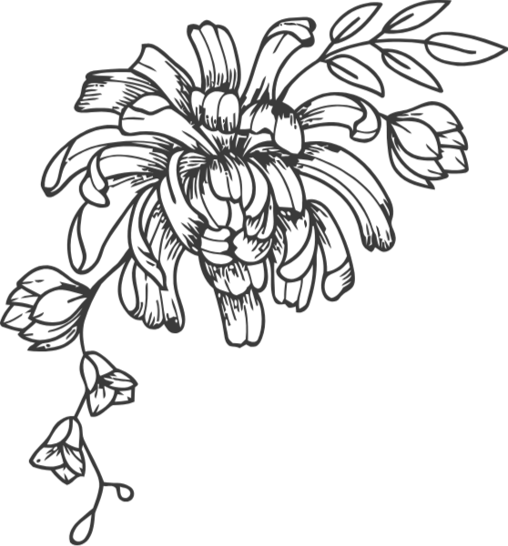 https://pub-static.haozhaopian.net/assets/res/sticker/4bb11daa-1148-4aee-a59f-ce6e50252be9_thumb.png