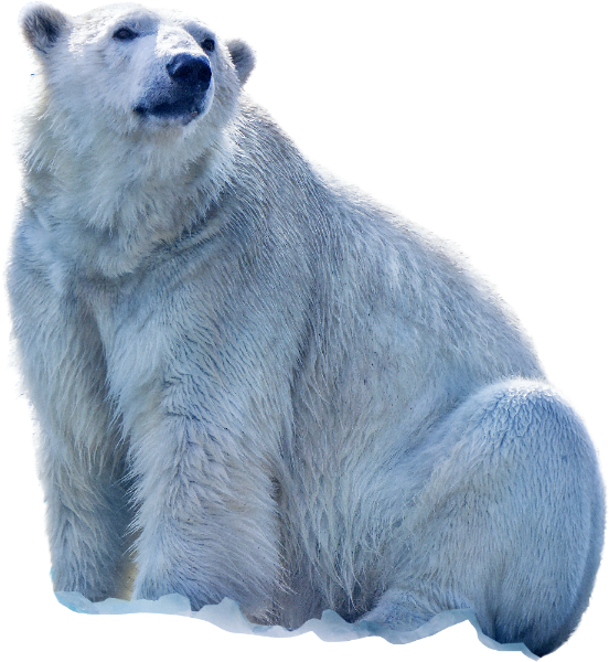 https://pub-static.haozhaopian.net/assets/res/sticker/18c77113-af44-4d6a-9eb6-985e2de0f50c_thumb.png